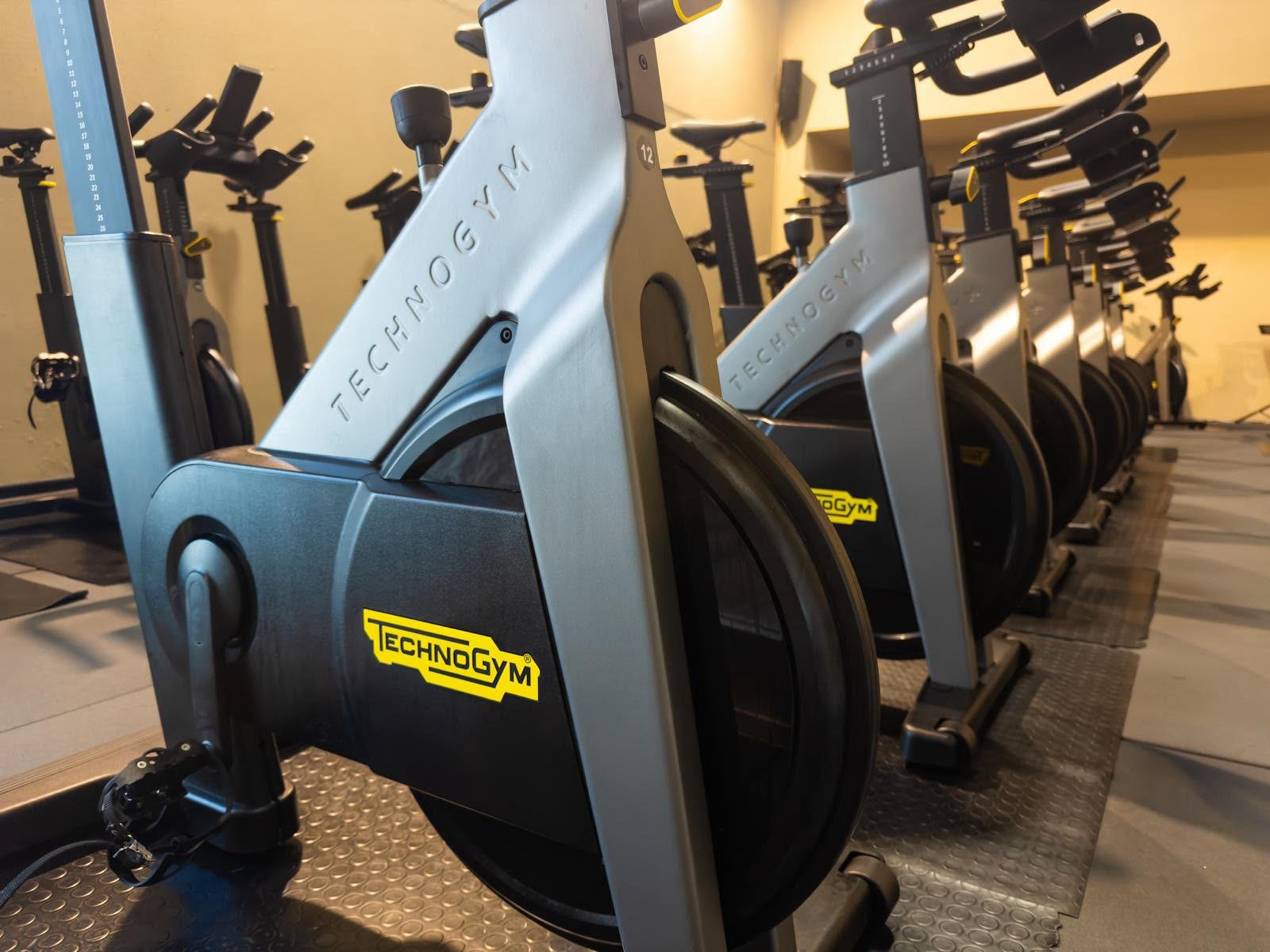 Cardio e cycling Technogym